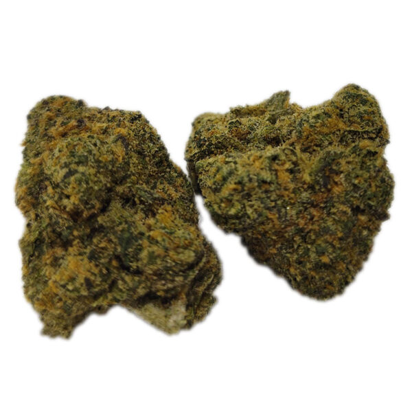 Austin Chill - THCa Hemp Flower - Mango Frutz