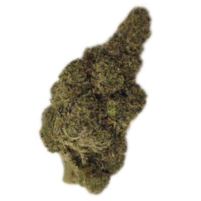 Austin Chill THCA Flower SHERBZOOKA