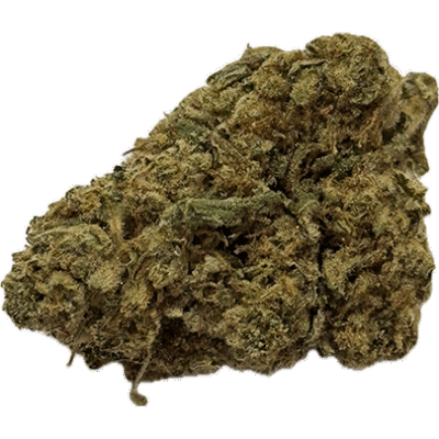 Austin chill THCA flower Gelato 41